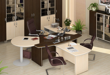 Кабинет руководителя Берлин-Директор