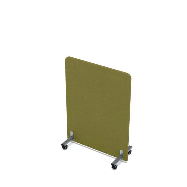 011.MP.8011_kiwi.jpg